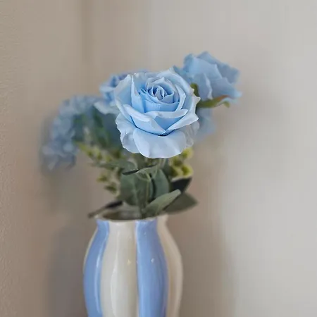 Lejlighed Al Ludomar, Cozy Flat And Free Park *